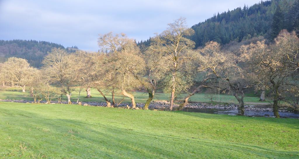 Dragon Bed And Breakfast Betws-y-Coed Luaran gambar