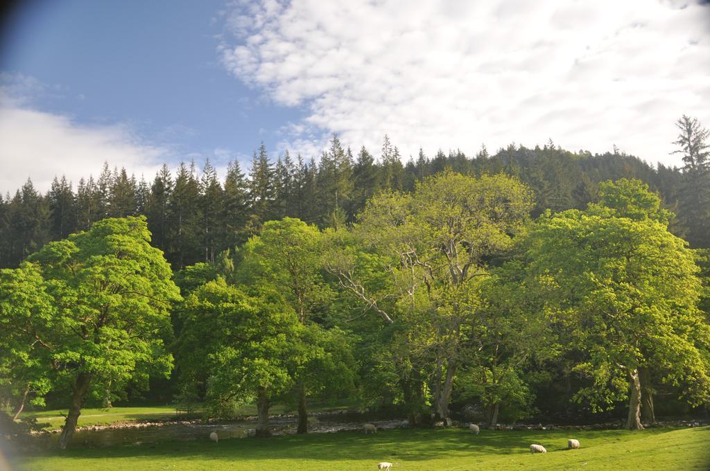 Dragon Bed And Breakfast Betws-y-Coed Luaran gambar