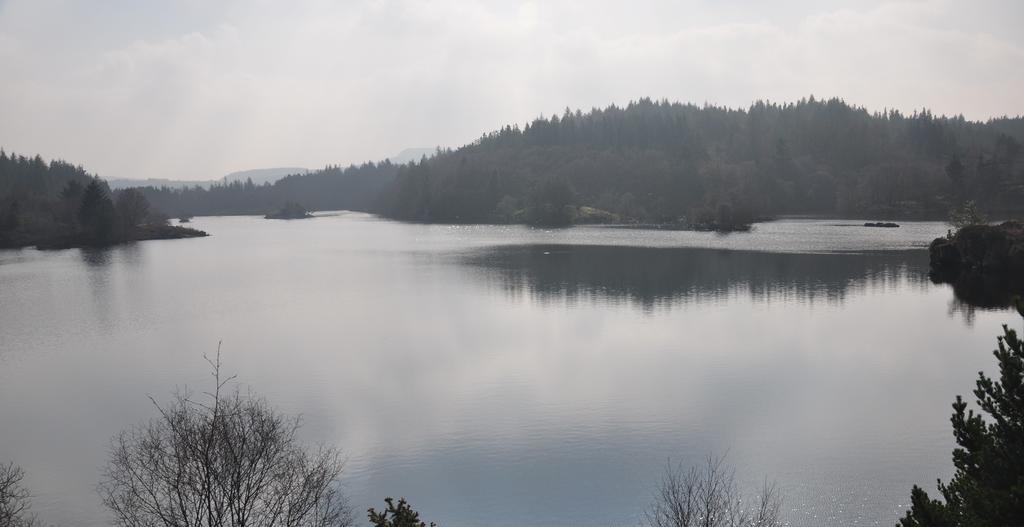 Dragon Bed And Breakfast Betws-y-Coed Luaran gambar
